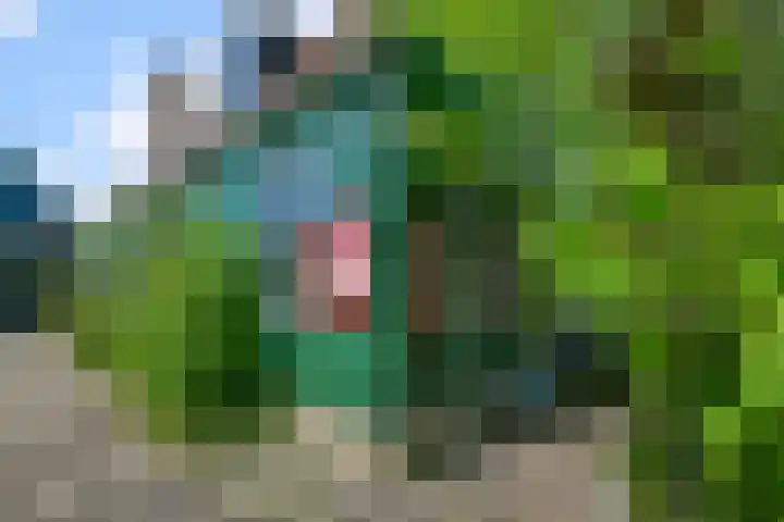 Haaldersbroek 21 Zaandam thumbnail 48