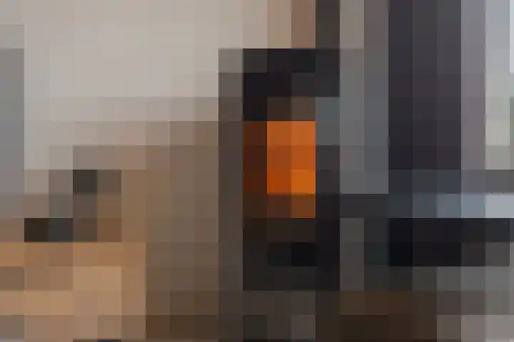 Haalstede 27 Vaassen thumbnail 10
