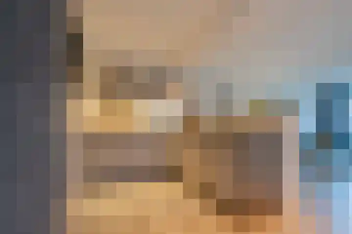 Haalstede 27 Vaassen thumbnail 14