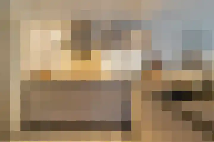 Haalstede 27 Vaassen thumbnail 15