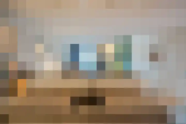 Haalstede 27 Vaassen thumbnail 16
