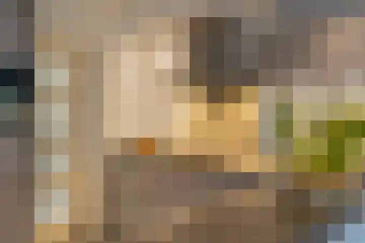 Haalstede 27 Vaassen thumbnail 17