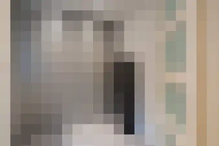 Haalstede 27 Vaassen thumbnail 19