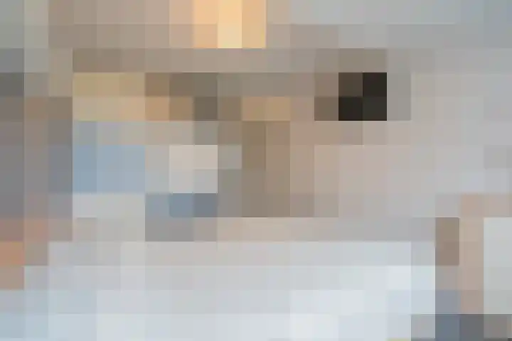 Haalstede 27 Vaassen thumbnail 22