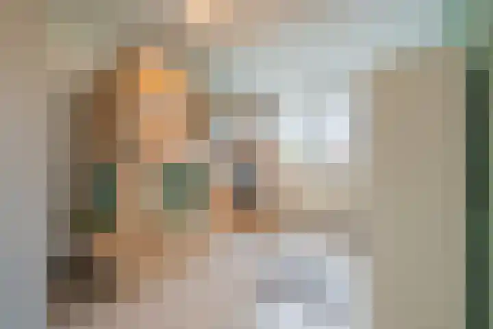 Haalstede 27 Vaassen thumbnail 23