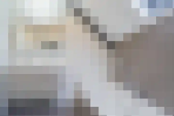 Haalstede 27 Vaassen thumbnail 28