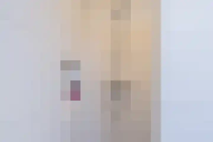 Haalstede 27 Vaassen thumbnail 31