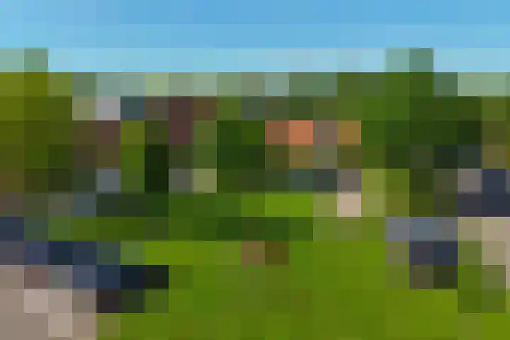 Haalstede 27 Vaassen thumbnail 39