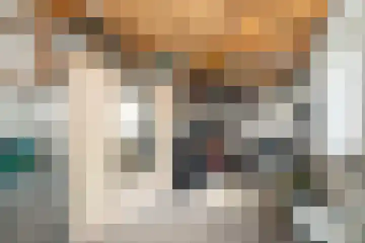 Haalstede 27 Vaassen thumbnail 40