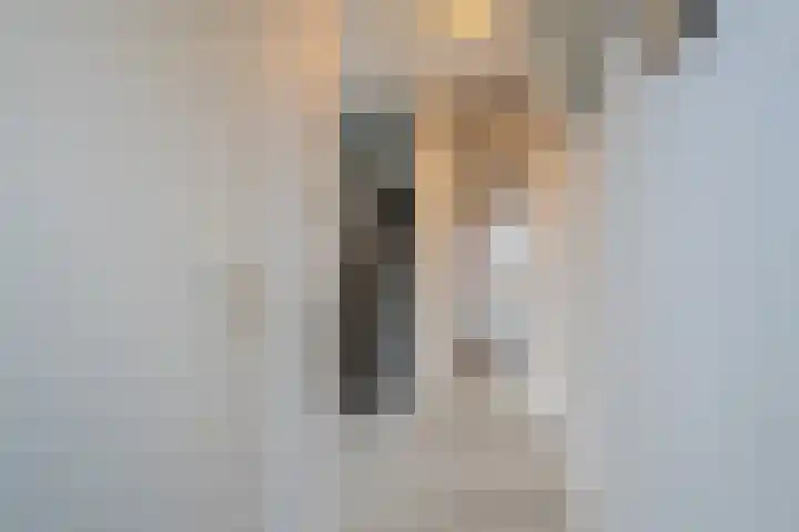Haalstede 27 Vaassen thumbnail 5