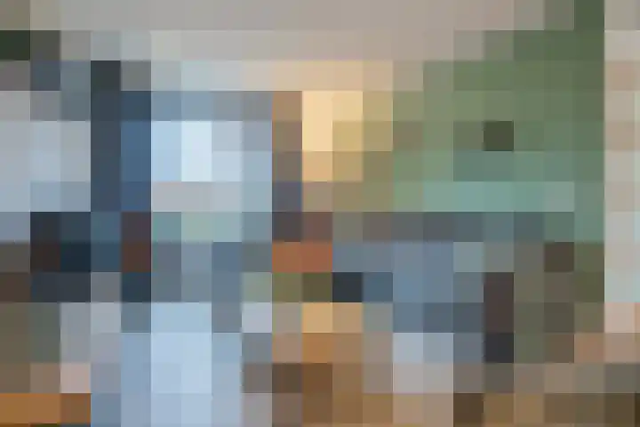 Haalstede 27 Vaassen thumbnail 7