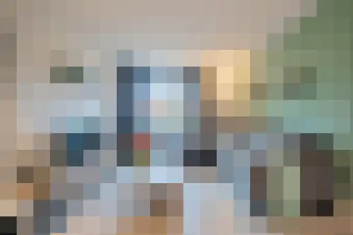 Haalstede 27 Vaassen thumbnail 8