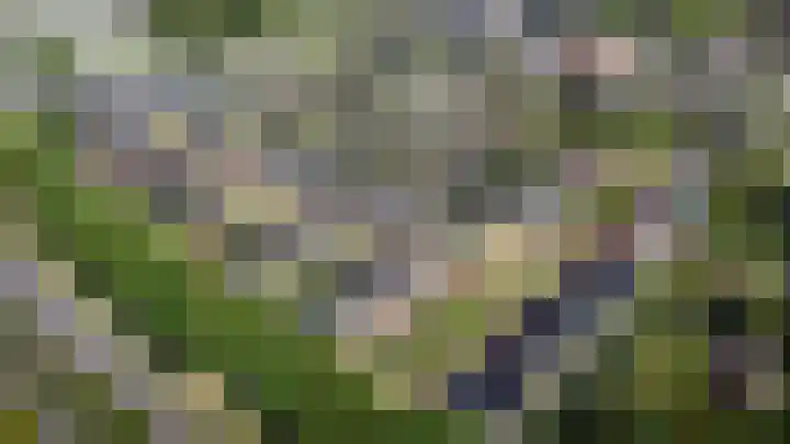 Haam 44 Veldhoven thumbnail 4