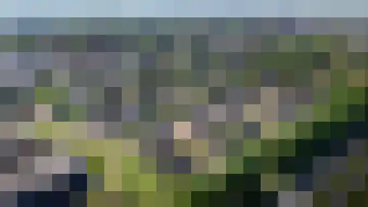 Haam 44 Veldhoven thumbnail 5