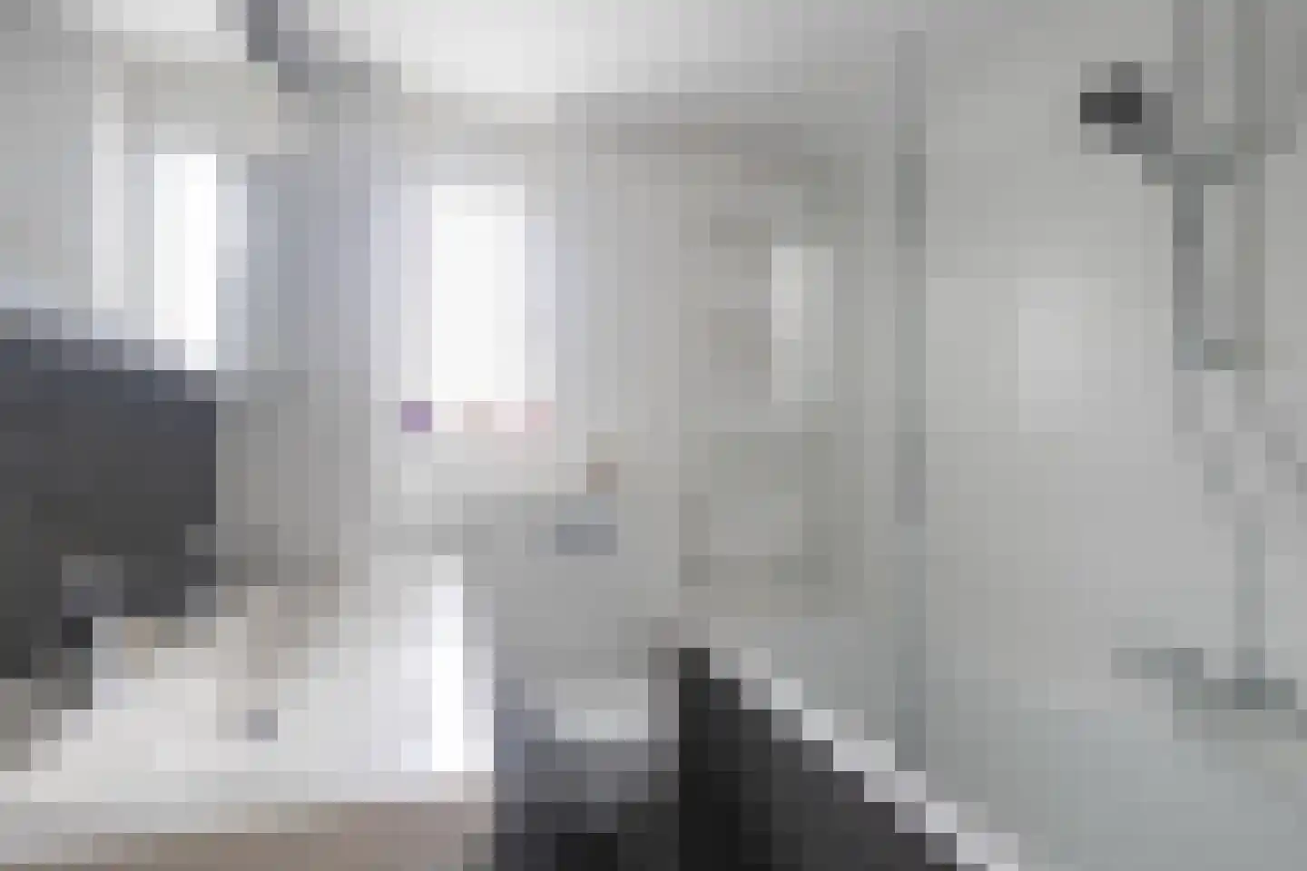 Haamhegge 28 Maastricht thumbnail 16