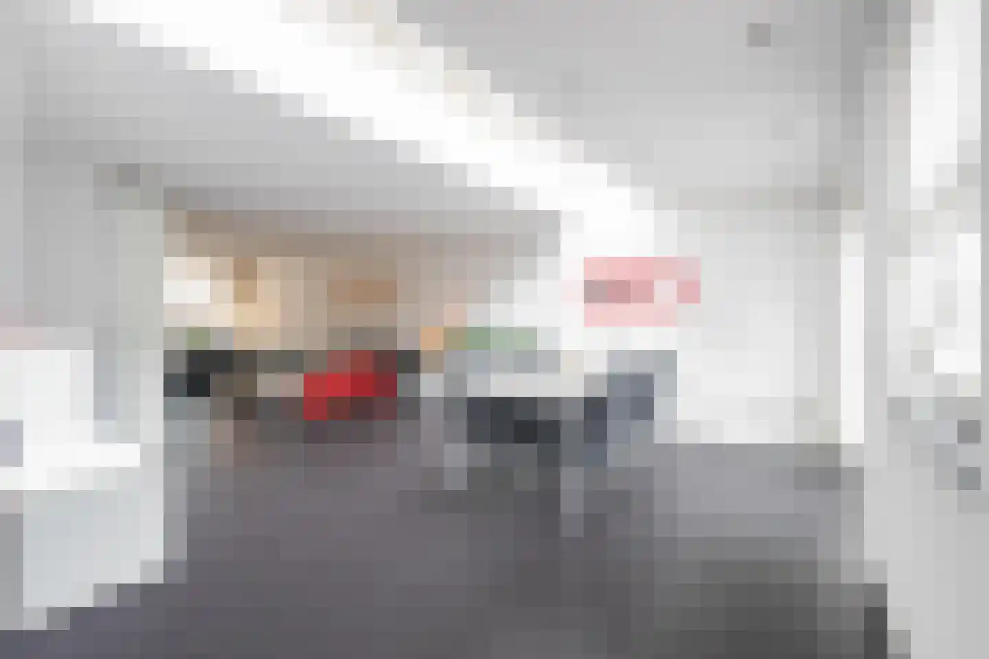 Haamhegge 28 Maastricht thumbnail 4