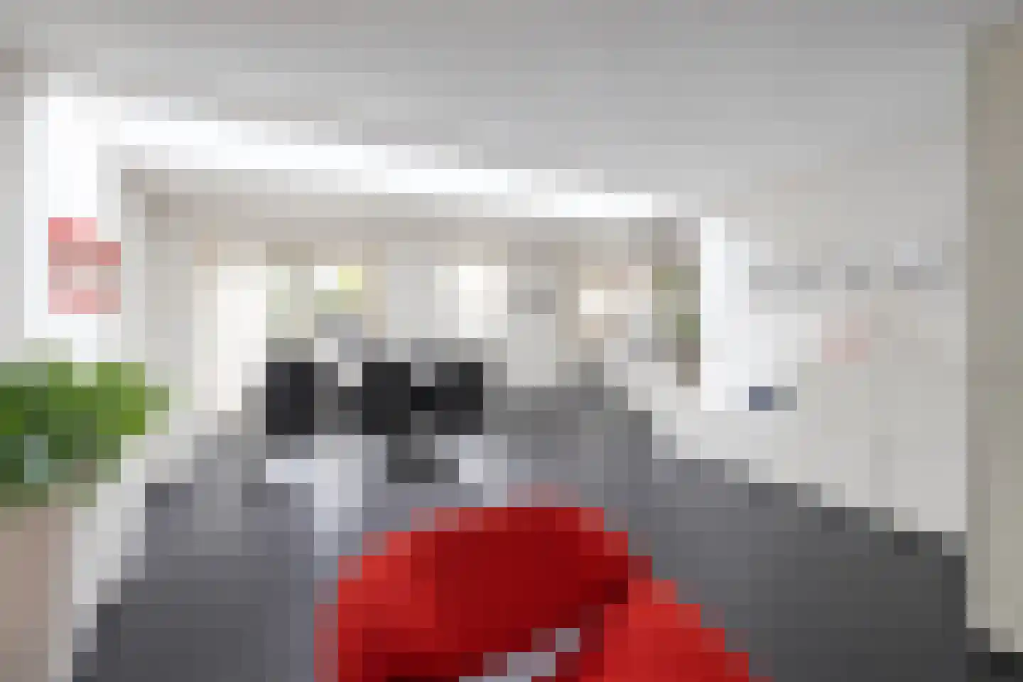 Haamhegge 28 Maastricht thumbnail 6