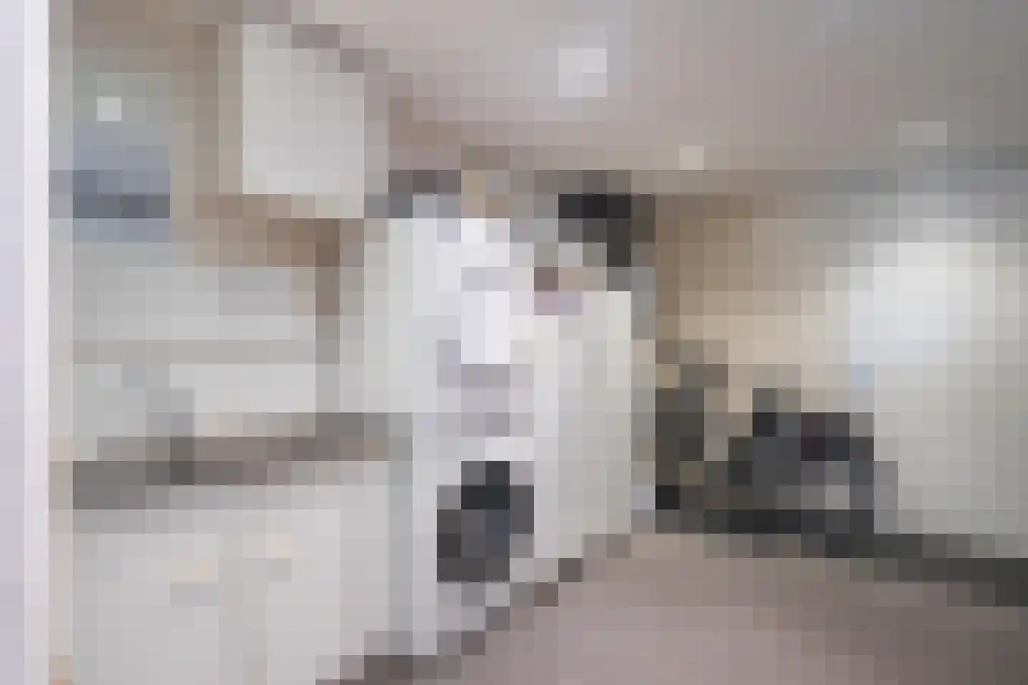 Haamhegge 28 Maastricht thumbnail 9
