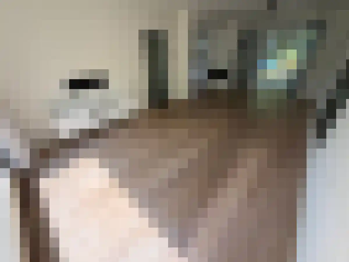 Haammakersdreef 20 Maastricht thumbnail 4