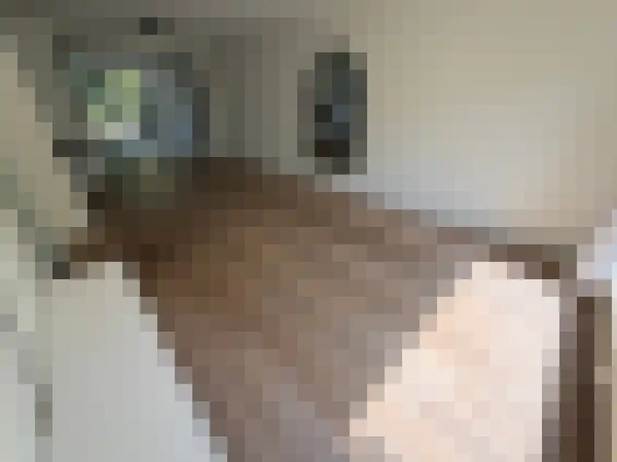 Haammakersdreef 20 Maastricht thumbnail 5