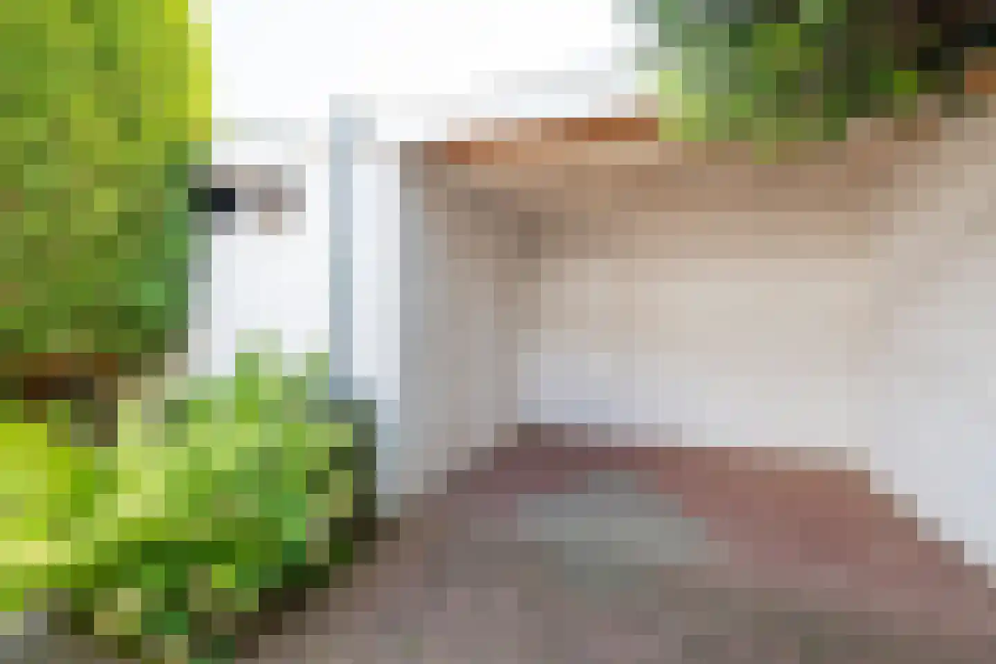 Haammakersdreef 21 Maastricht thumbnail 11
