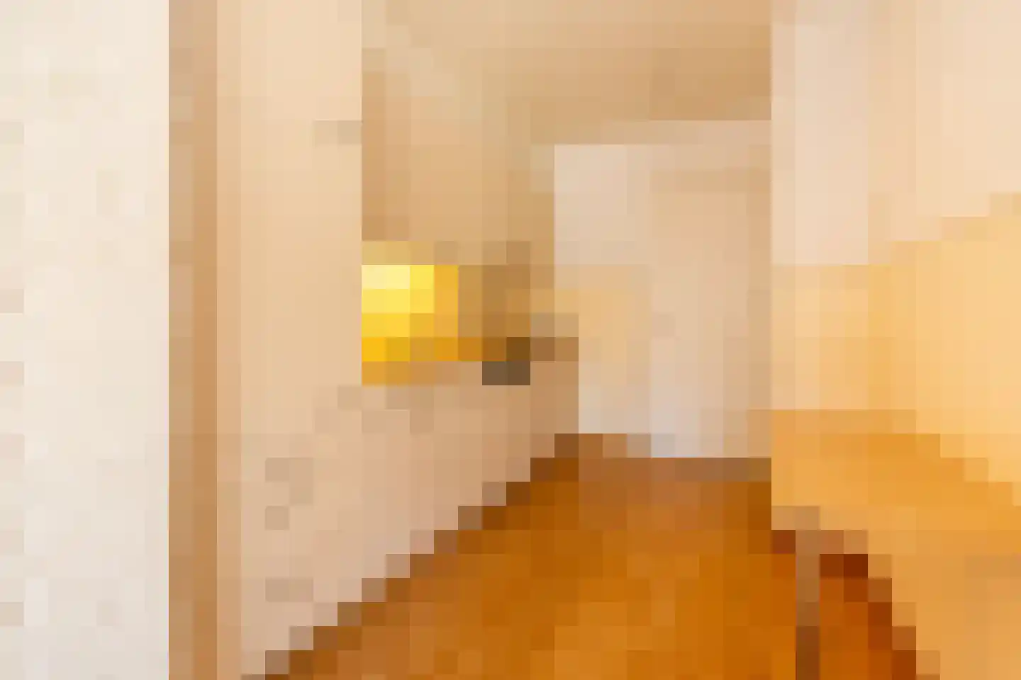 Haammakersdreef 21 Maastricht thumbnail 17