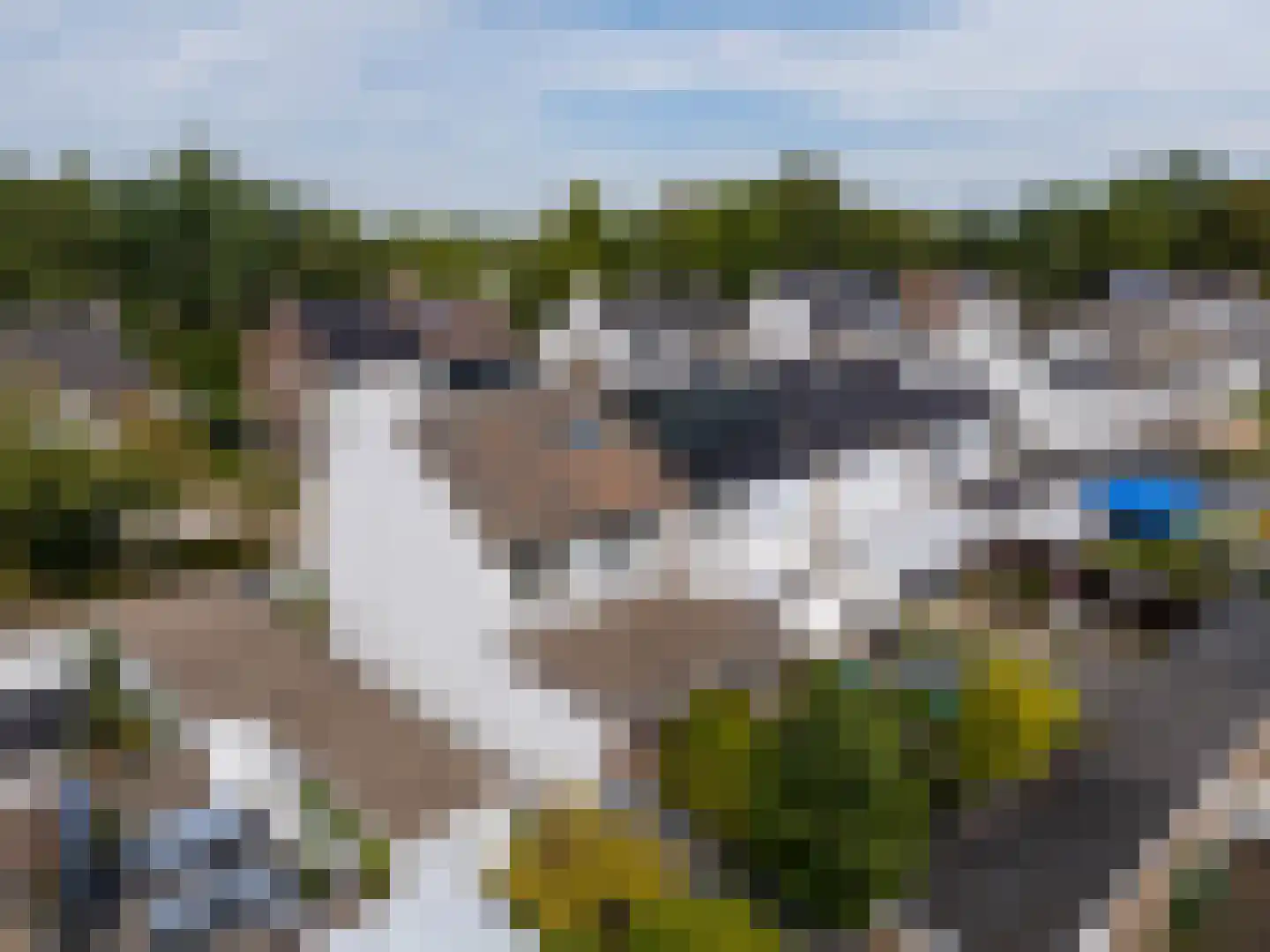 Haammakersdreef 21 Maastricht thumbnail 9
