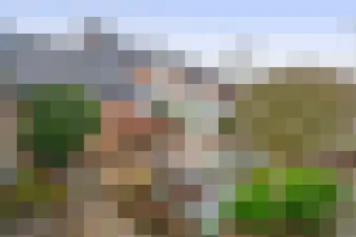 Haammakerstraat 19 Baarlo thumbnail 15