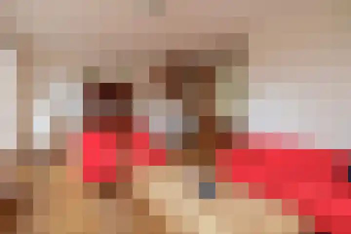 Haammakerstraat 19 Baarlo thumbnail 7