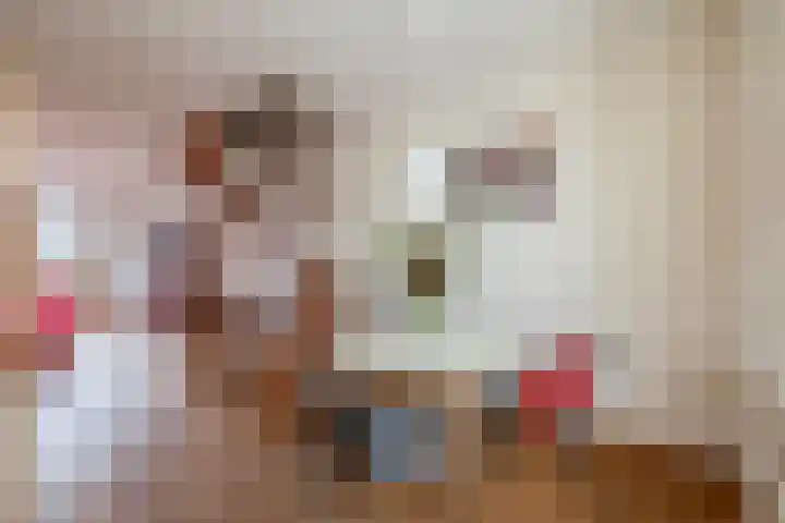 Haammakerstraat 19 Baarlo thumbnail 8