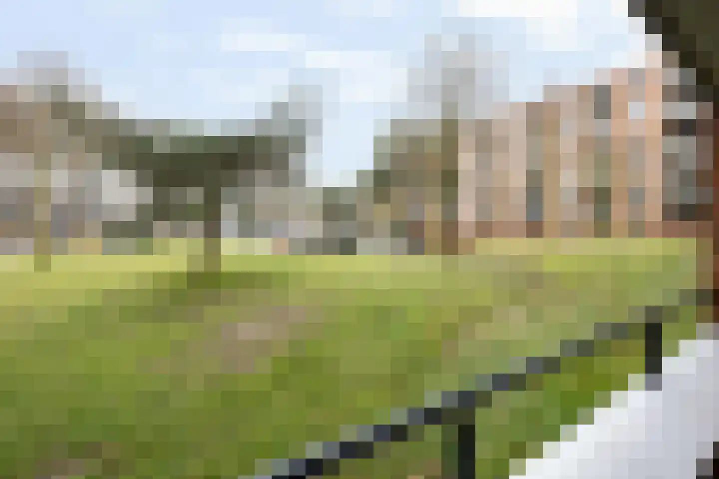 Haammakerstraat 274 Venray thumbnail 28