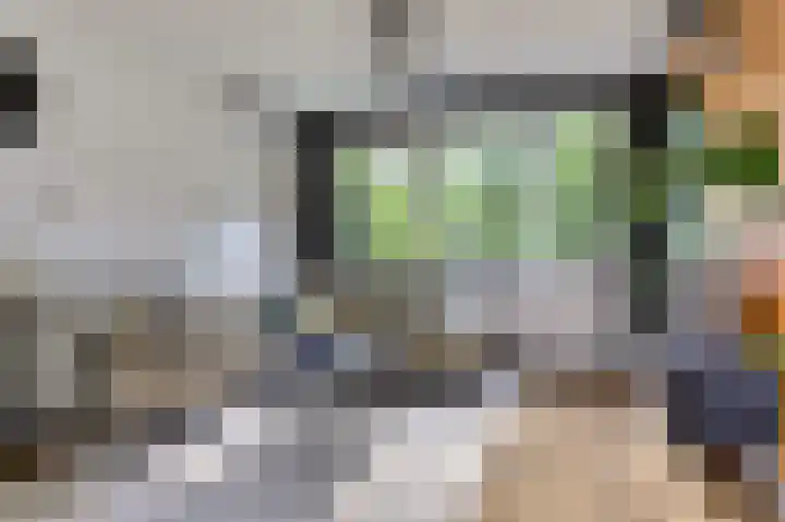 Haammakerstraat 5 Venray thumbnail 10