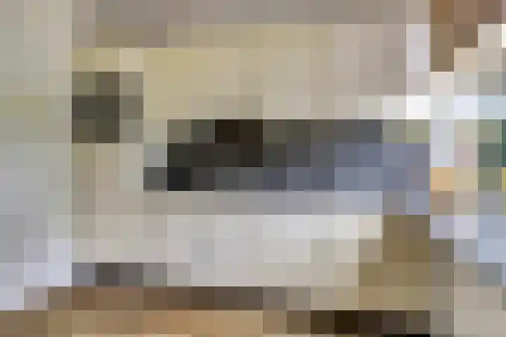 Haammakerstraat 5 Venray thumbnail 15