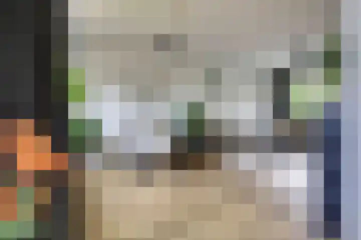 Haammakerstraat 5 Venray thumbnail 17