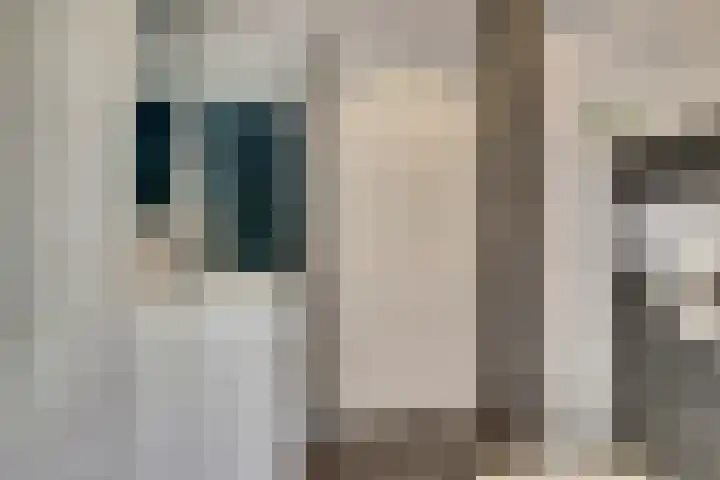 Haammakerstraat 5 Venray thumbnail 25