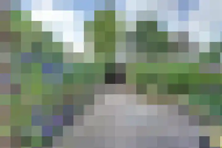 Haammakerstraat 5 Venray thumbnail 28