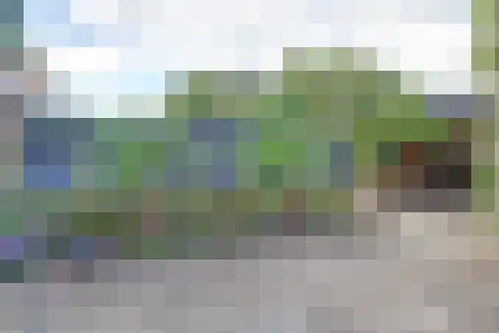 Haammakerstraat 5 Venray thumbnail 29