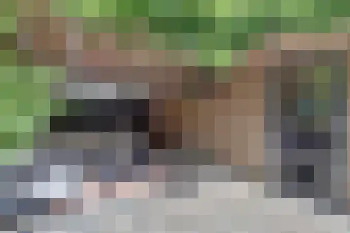 Haammakerstraat 5 Venray thumbnail 32