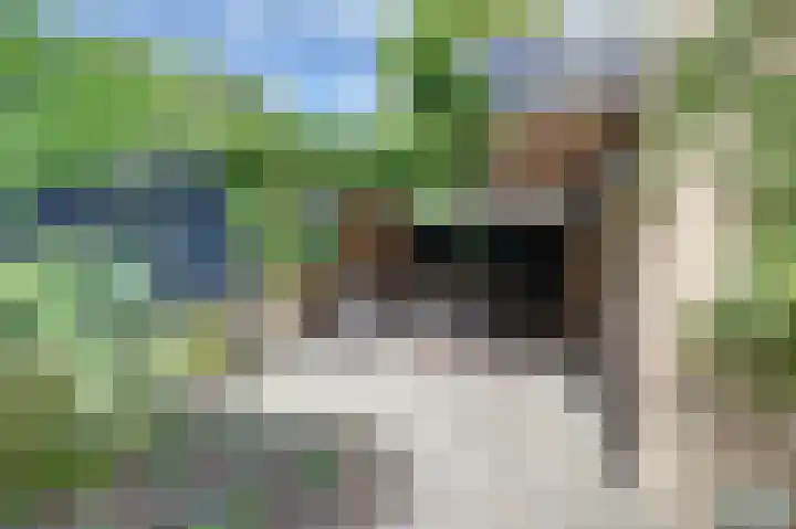 Haammakerstraat 5 Venray thumbnail 4