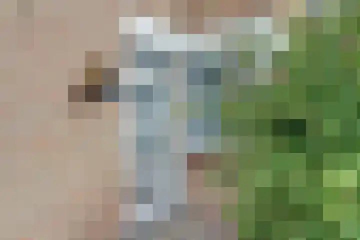 Haammakerstraat 5 Venray thumbnail 7