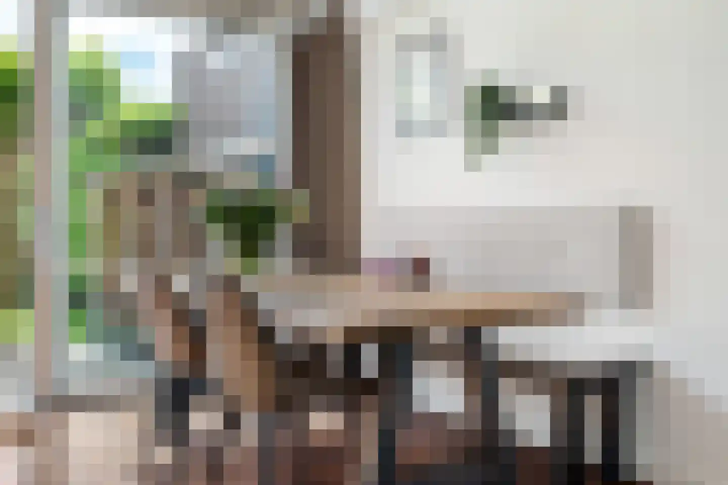 Haamstedestraat 12 Breda thumbnail 14