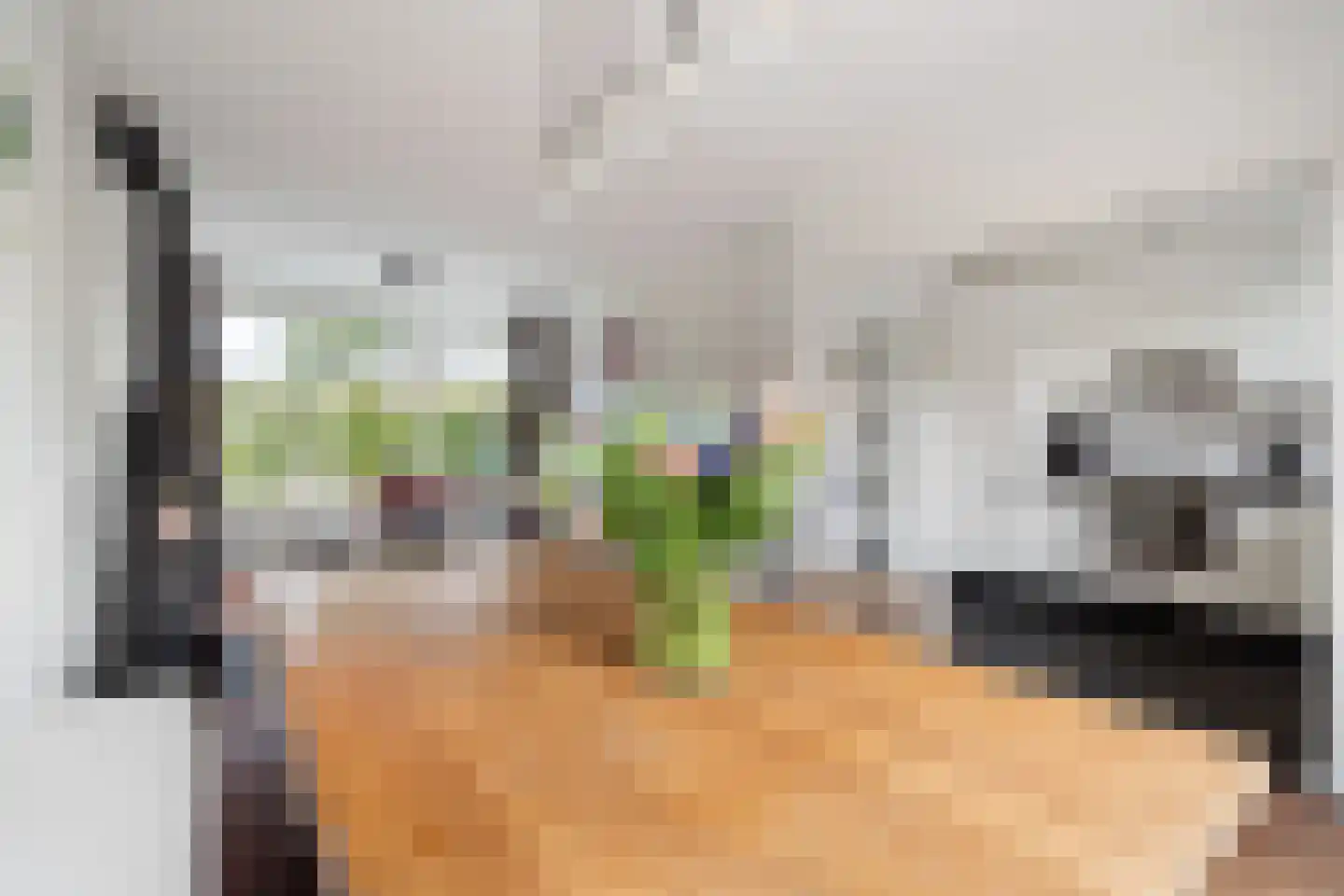 Haamstedestraat 12 Breda thumbnail 16
