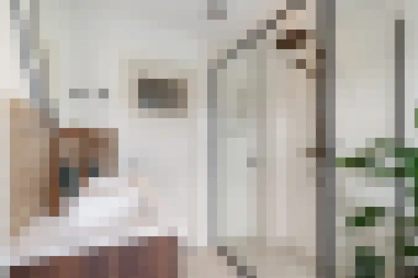 Haamstedestraat 12 Breda thumbnail 25