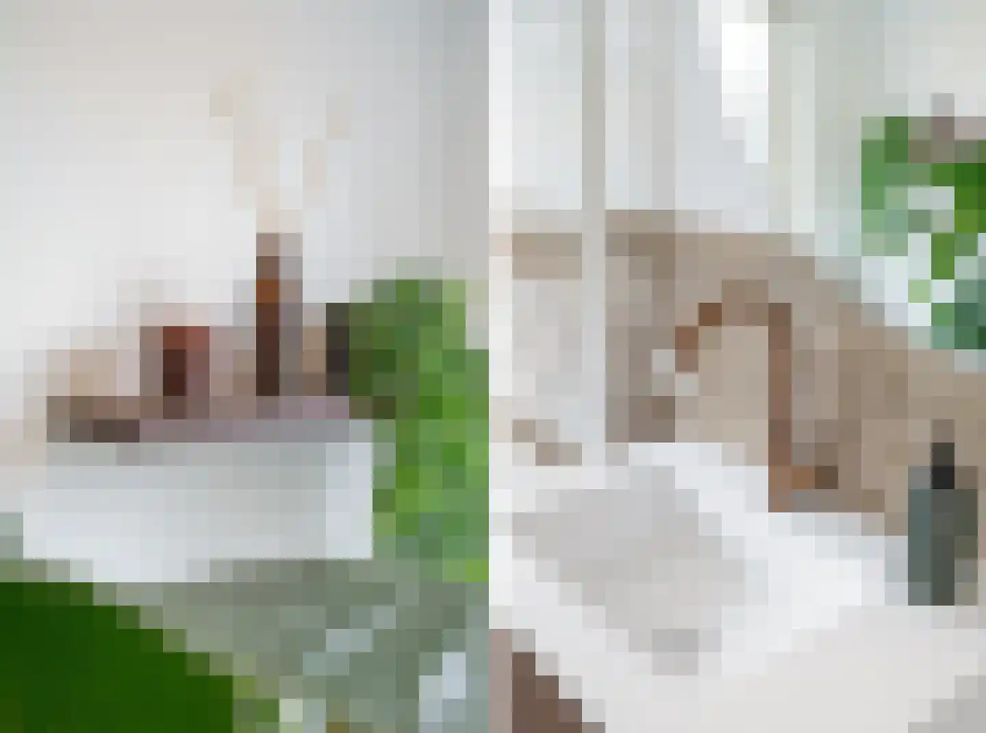 Haamstedestraat 12 Breda thumbnail 26