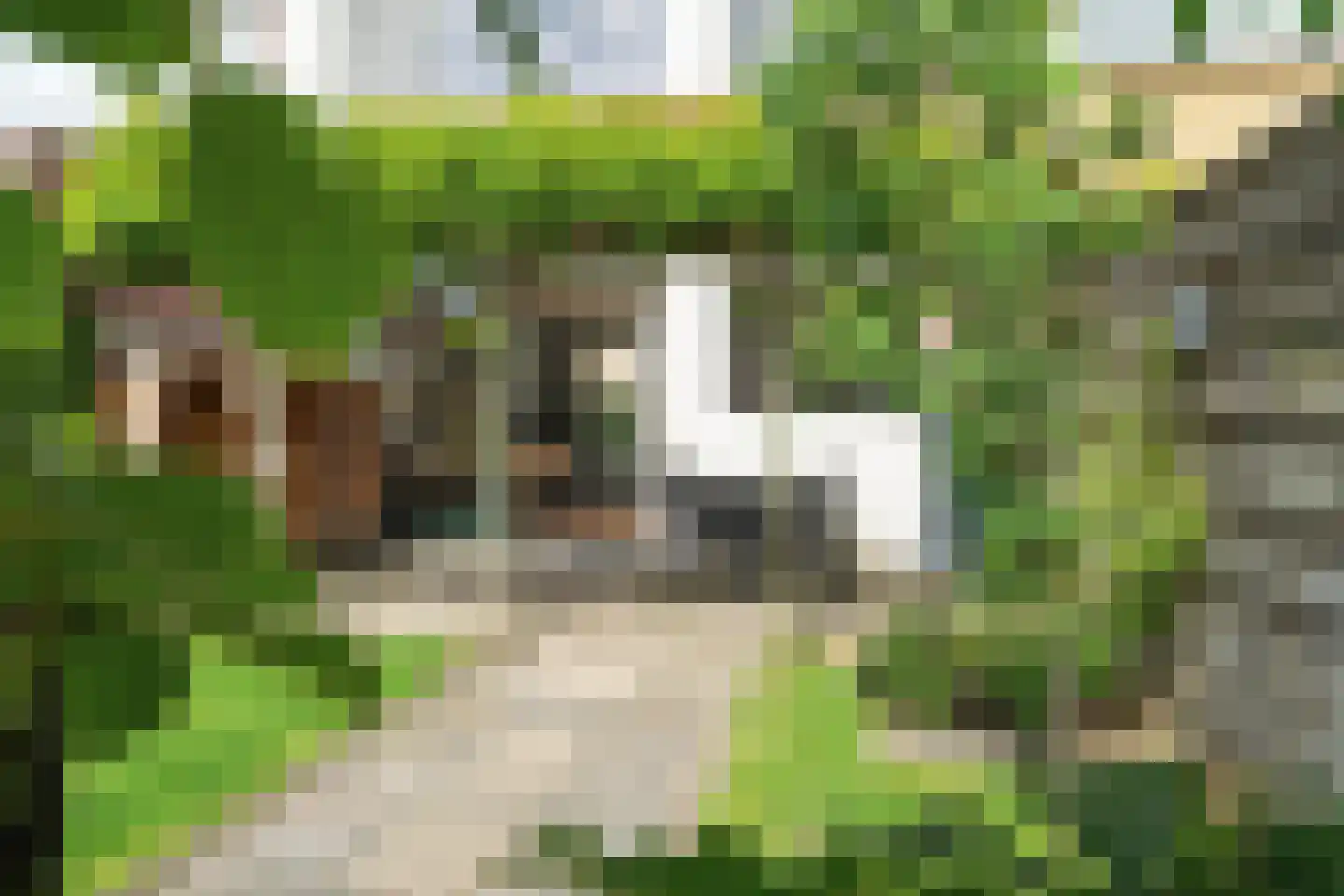 Haamstedestraat 12 Breda thumbnail 38
