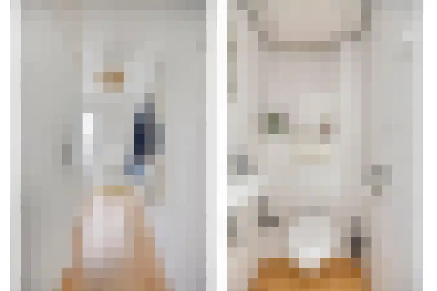 Haamstedestraat 34 Breda thumbnail 7