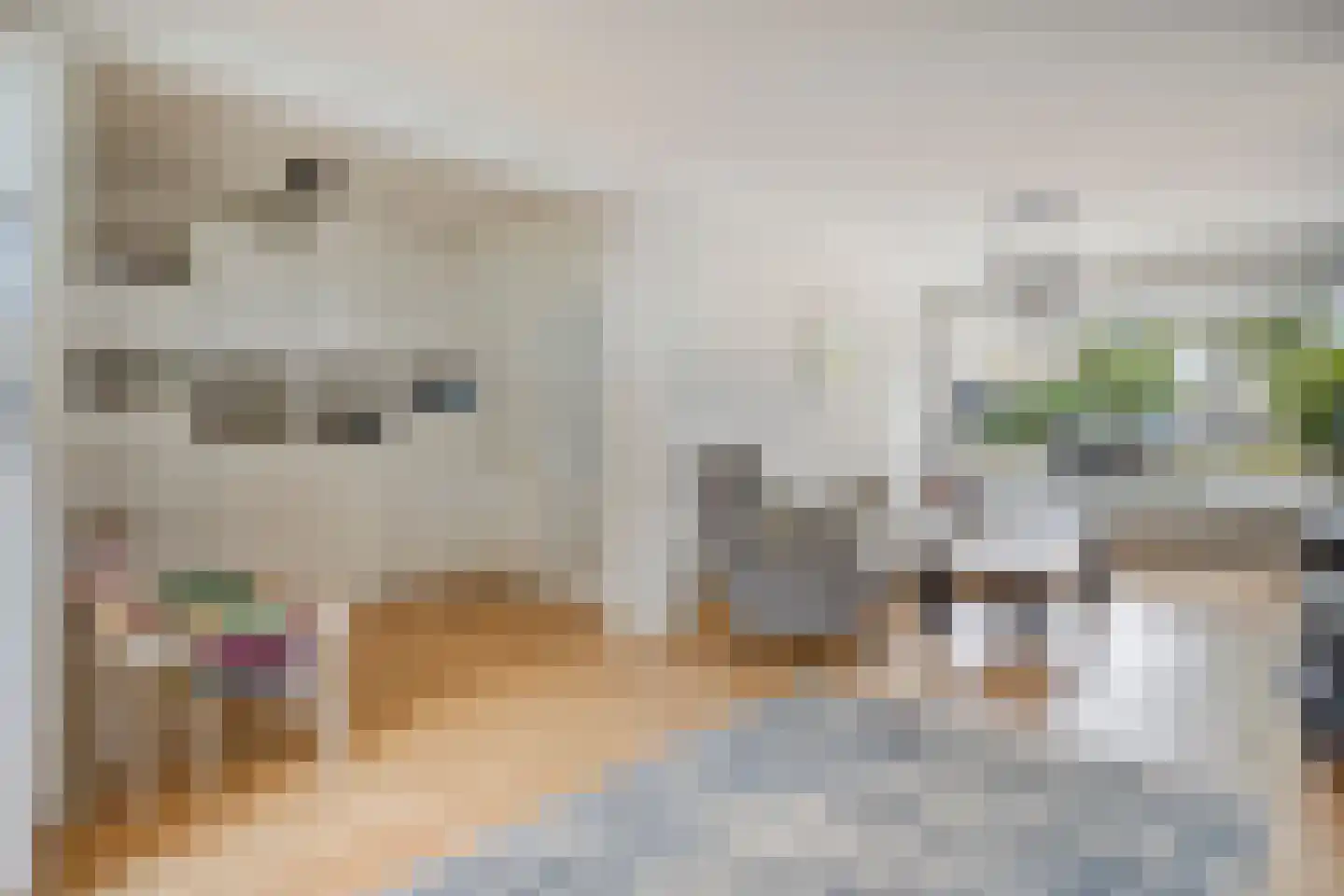 Haamstedestraat 34 Breda thumbnail 9