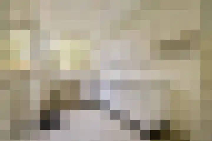 Haamstedestraat 4 Badhoevedorp thumbnail 9