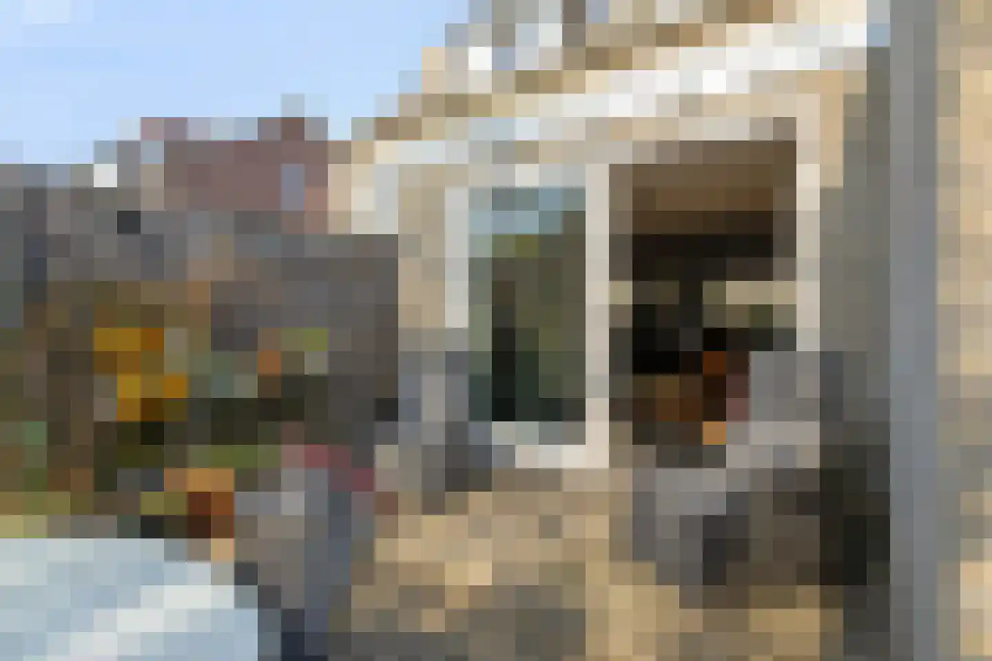 Haamstraat 10 Ulvenhout thumbnail 41