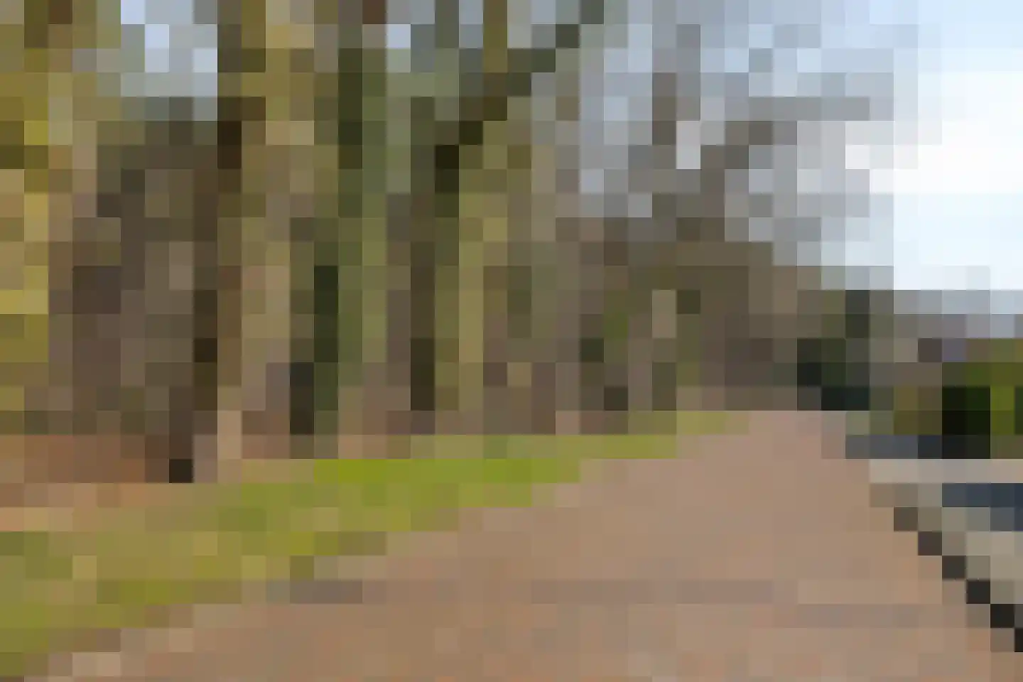 Haamstraat 10 Ulvenhout thumbnail 57